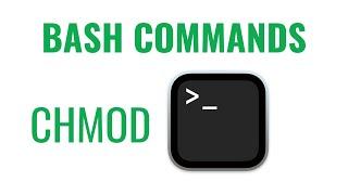 Bash Commands - chmod command