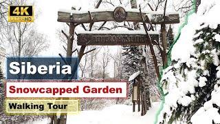 A Freezing Walk in Siberian Botanical Garden  Filmed below -20 C  Walking Tour  4K