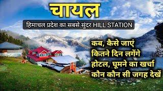 CHAILचायल  The Most Beautiful Hillstation in Himachal  Chail Your Guide with Complete Tour Plan