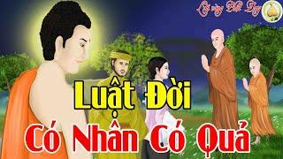 Chuyện Phật Giáo Phật Dạy Những Nhân Quả Nghiệp Báo ở Đời Nghe Ngay để Tránh MẮc Phải