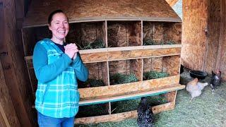 Debt Free Chicken Coop Remodel Roosts Storage and Nest Boxes