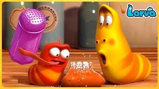 Larva Full  Episode  1 Hour Compilation  Cartoons - Comedy - Comics  New Animation Movies 2022