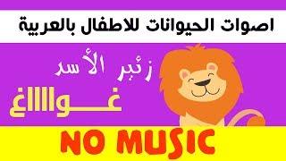 أنشودة أصوات الحيوانات للاطفال بدون موسيقى  - Animal sound arabic no music