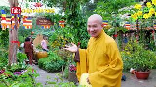 Peaceful life in the monastery. Discovery the Phap Tang Zen Garden Too Beautiful - Spring 2021