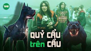 REVIEW DỰ ÁN MẬT THẢM HỌA TRÊN CẦU  PROJECT SILENCE