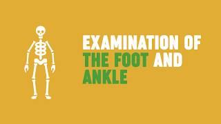 Examination of the foot and ankle