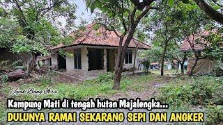 SEMUA PENDUDUKNYA TAKUT DAN PERGI HANYA MEREKA YG MASIH BERTAHAN KAMPUNG MATI DI TENGAH HUTAN...