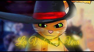 La Vida Es Una  Karol g - Gato Con Botas 2 ⭐ animación 