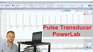 Tracking Pulse - Pulse Transducer in PowerLab