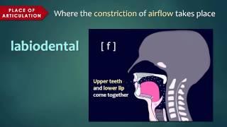 Introduction to Articulatory Phonetics Consonants