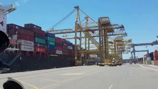 sydney port botany container terminal