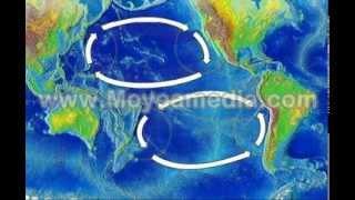 NOAA Ocean Currents