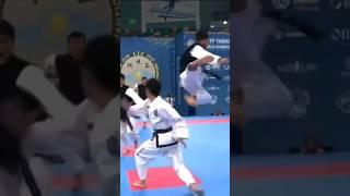 North Korean Taekwon-Do Fight Choreogrpahy