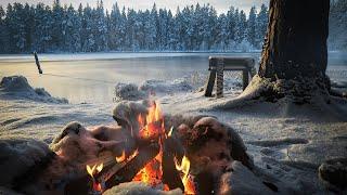 Crackling campfire sounds with wolves howling