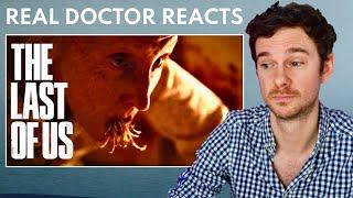 Doctor Reacts to THE LAST OF US  Episode 1