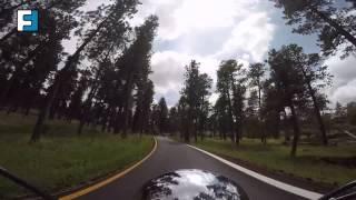 The Needles Highway