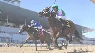 Talking Horses pres. by Saratoga Water - June 15 2024