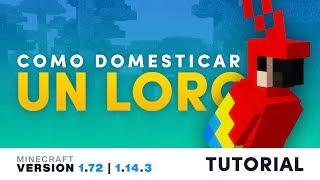 Como DOMESTICAR un LORO  Tutorial de Minecraft 4K 1.12 - 1.15 2020