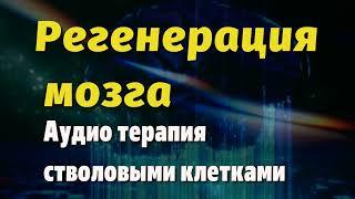 Регенерация всего мозга используя стволовые клетки ориентированные на поврежденные области