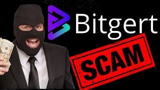 Bitgert $BRISE is a Scam PERIOD - 5 Reasons Bitgert is a Scam