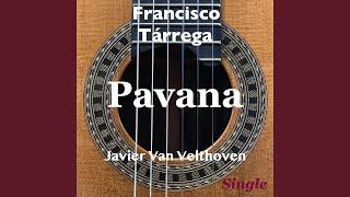 Pavana