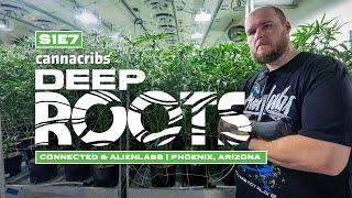 Connected Cannabis Co & Alien Labs Arizona Prop 207 Expansion Cannabis Farm Deep Roots