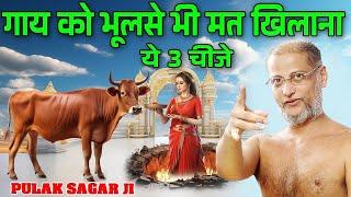 गाय को भूल से भी मत खिलाना ये चीज  वरना धन भी जायेगा और धर्म भी  Pulak Sagar Ji  Latest Pravachan