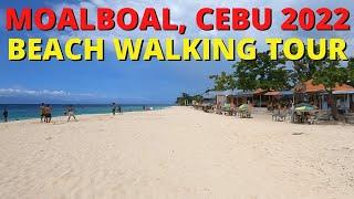 Moalboal Cebu  Beach Walking Tour  Relaxing Waves Beach Sound  Basdaku - Whitebeach