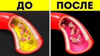 Начните Есть Рыбу Каждый День и Посмотрите Что Произойдет с Вашим Телом