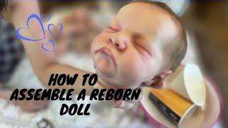 AMAZING Bonnie Brown Levi Sculpt How To Assemble A Reborn Baby Doll With Inspired By Babies