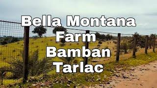 Quick ride to Bella Montana Farm Bamban Tarlac. #bellamontanafarm #sniper155