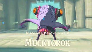 Mucktorok Boss Fight - Zelda Tears of the Kingdom