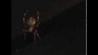 Spider in the Night