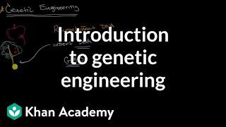 Introduction to genetic engineering  Molecular genetics  High school biology  Khan Academy