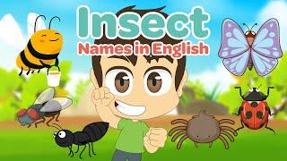 Learn Insect Names in English  insect for kids - Learn English with Zakaria