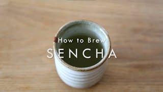 Easy Tutorial How to Brew Sencha Green Tea Correctly