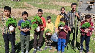 Documentary about nomadic life life in the mountains