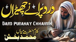 Kalam mian Muhammad baksh Dard Puranay Chhairen  kalam 2024  Part 4  Fsee Production