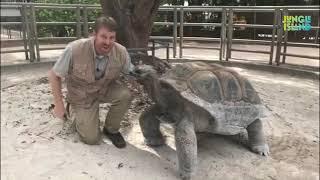 Chats with Chatfield -  Homeschool - Aldabra Tortoise