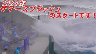 鴨川シーワールドシャチパフォーマンス【2024年7月1日1500公演】