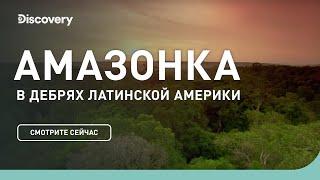 Амазонка  В дебрях Латинской Америки  Discovery Channel