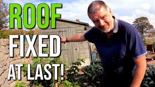 Fixed The Leaking Shed Roof  How To Fix A Leaking Shed Roof  Allotment Gardening With Tony