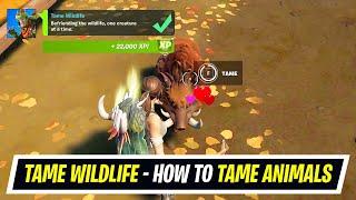 Tame Wildlife quest location in Fortnite - How to Tame Wildlife - Season 6 Quick Challenge