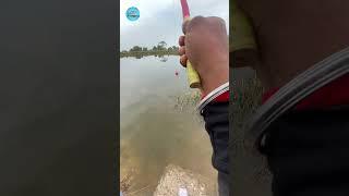 Best Carp Bait Choices A Beginners Guide #fishing #fishingvideo #hook_fishing #reels #shorts