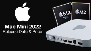 Mac Mini 2022 Release Date and Price – NO NEW DESIGN