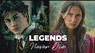 Harry Potter & Alina Starkov  The chosen ones  Legends never die