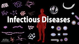 Infectious Diseases Overview Animation