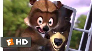 Over the Hedge 2006 - Raccoon Rescue Scene 910  Movieclips