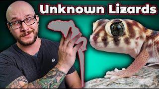 5 UNDERRATED LIZARDS YOUVE NEVER HEARD OF