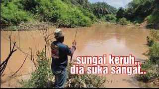 Mancing sungai..saat air keruh dan surut macam ni ikan lapar sangat